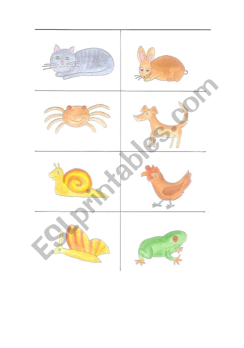 animal memory 1 worksheet