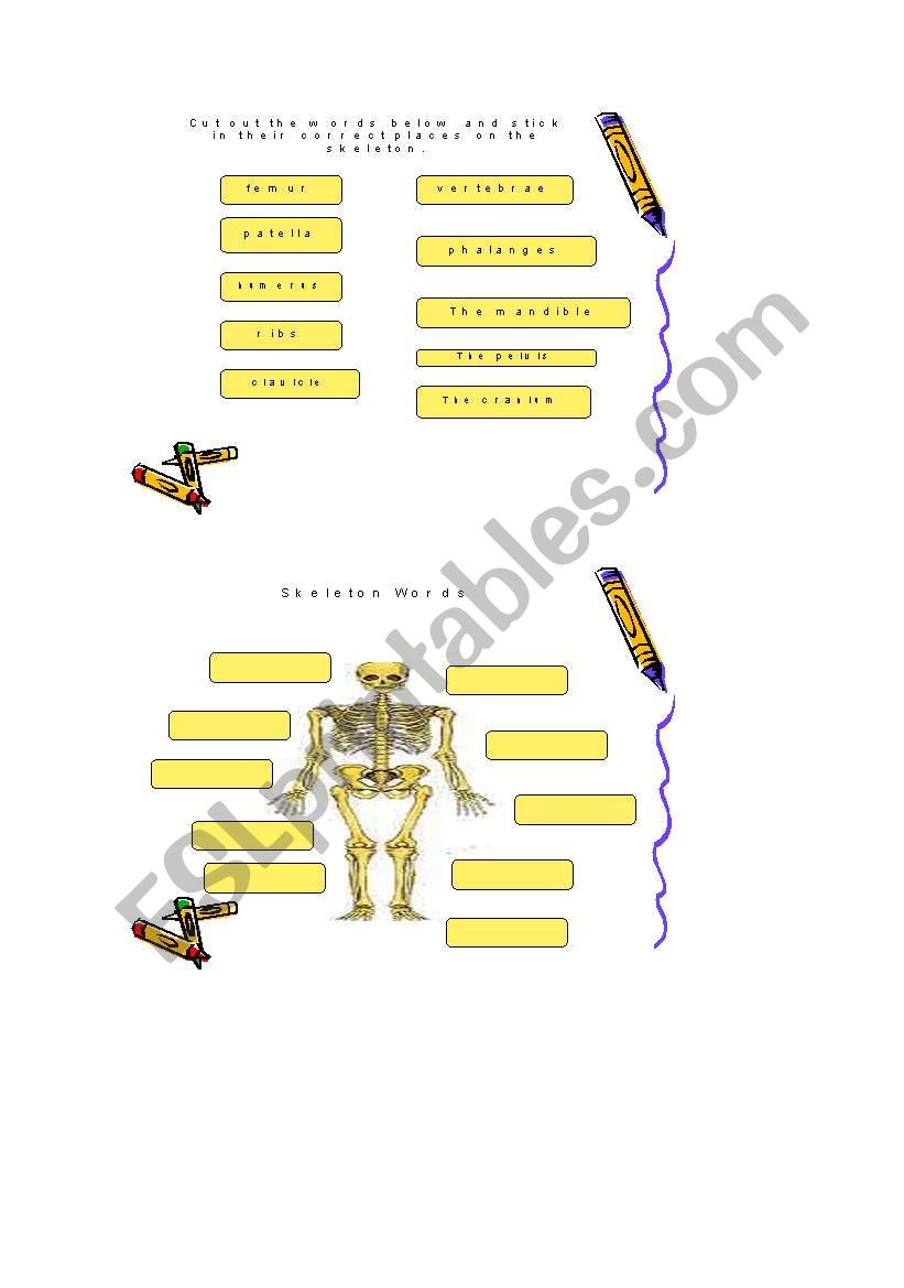 The skeleton worksheet