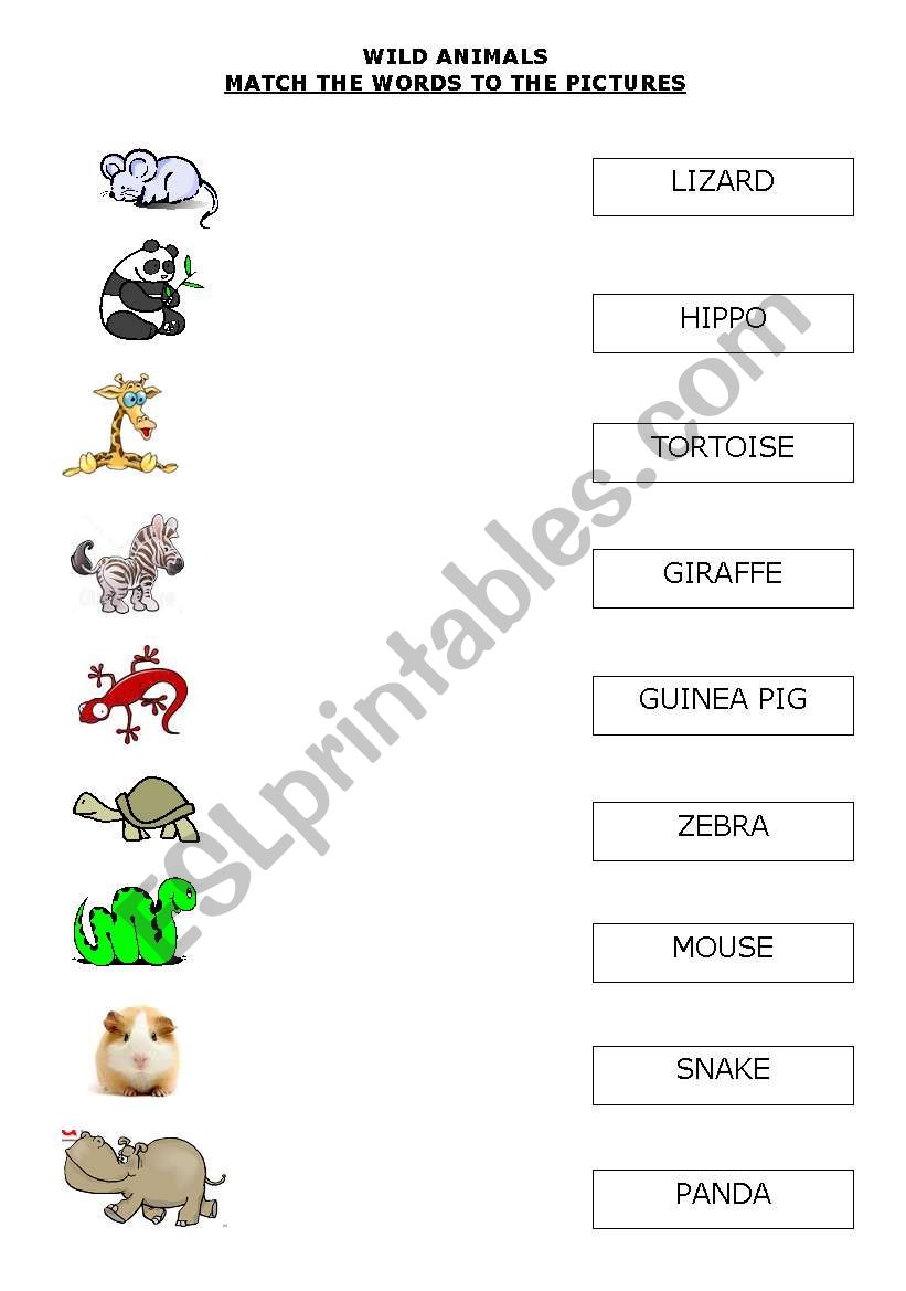 WILD ANIMALS 1 worksheet