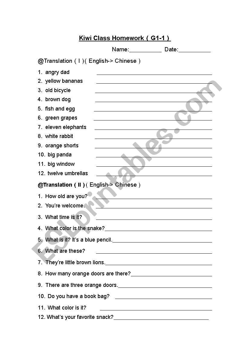 Translation Worksheet worksheet