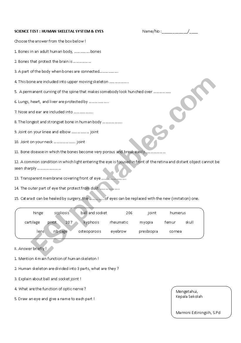 human skeleton & eyes worksheet