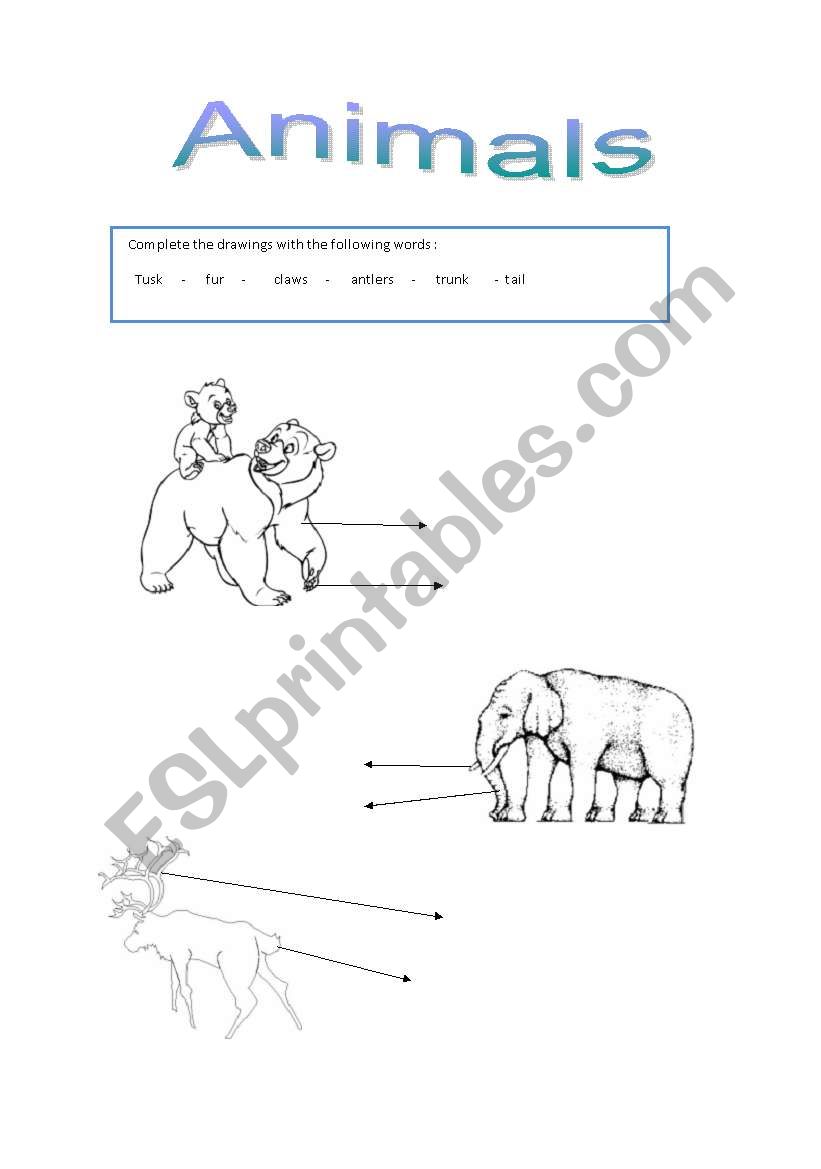 animals worksheet