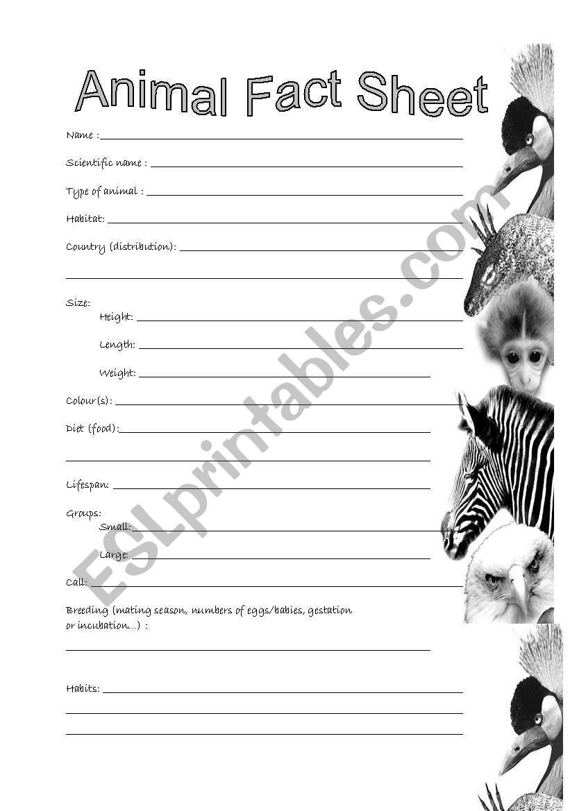 Animal Fact Sheet - ESL worksheet by Marie-France