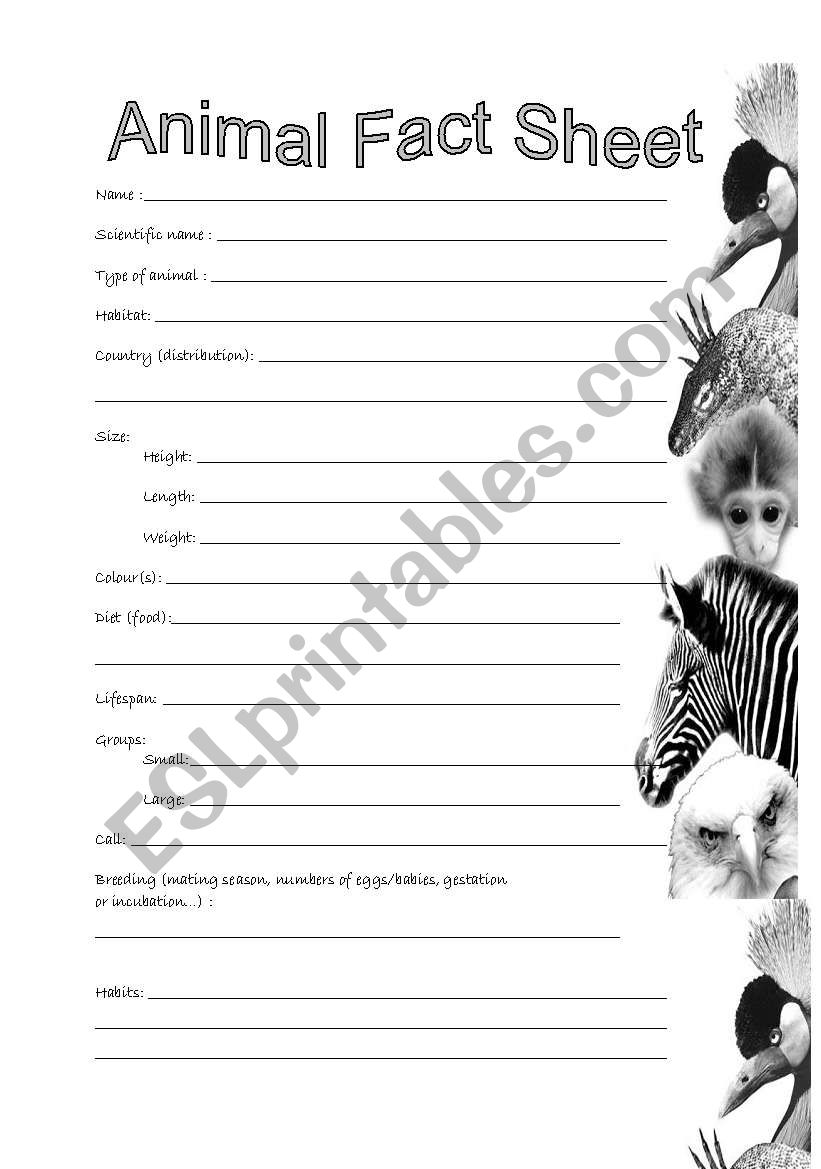 Animal Fact Sheet worksheet