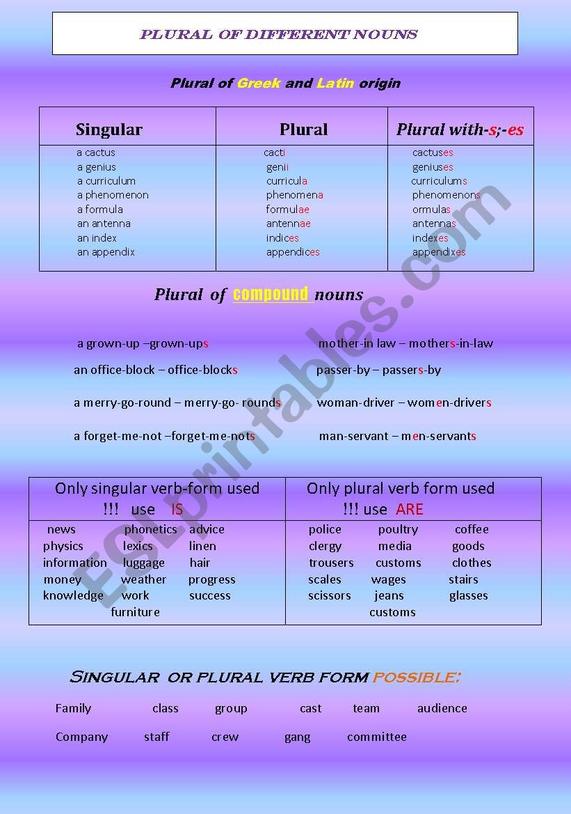 plural of nouns worksheet