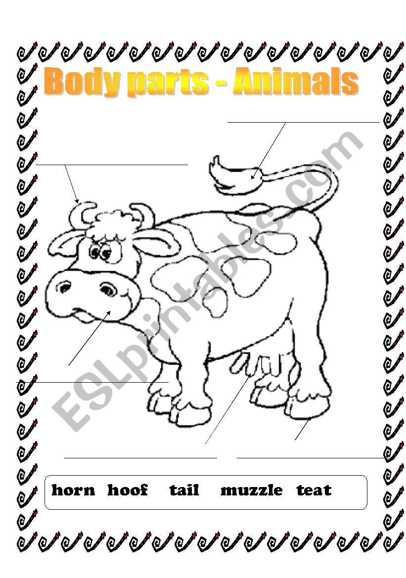 Body parts - animals worksheet