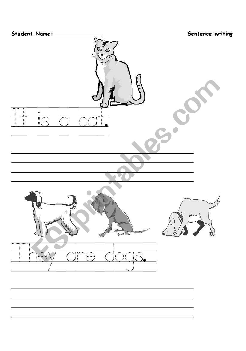 Beginner sentence writing worksheet