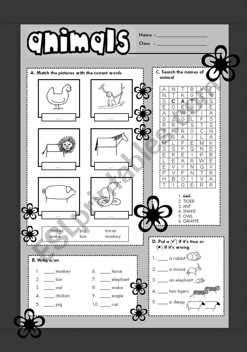 Animals worksheet