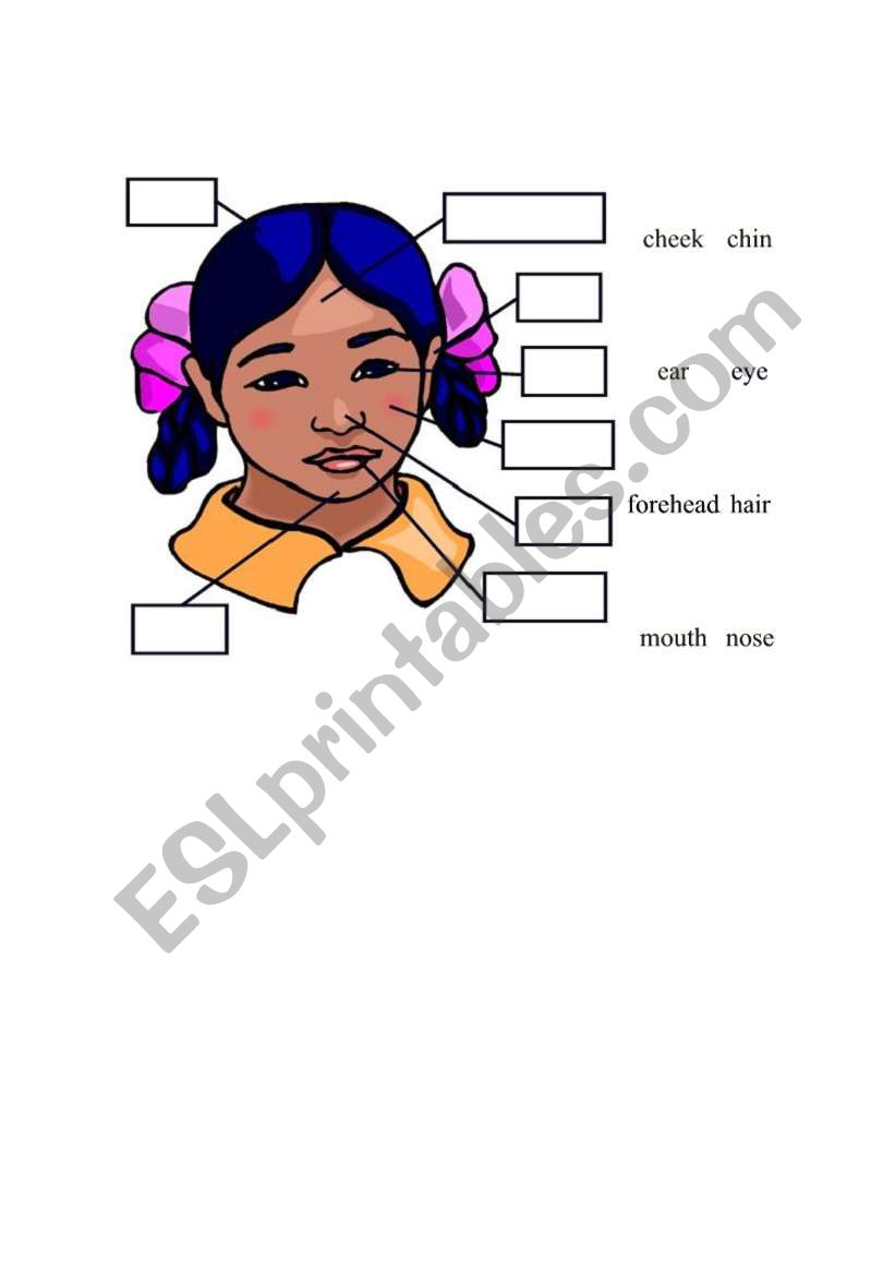 body worksheet