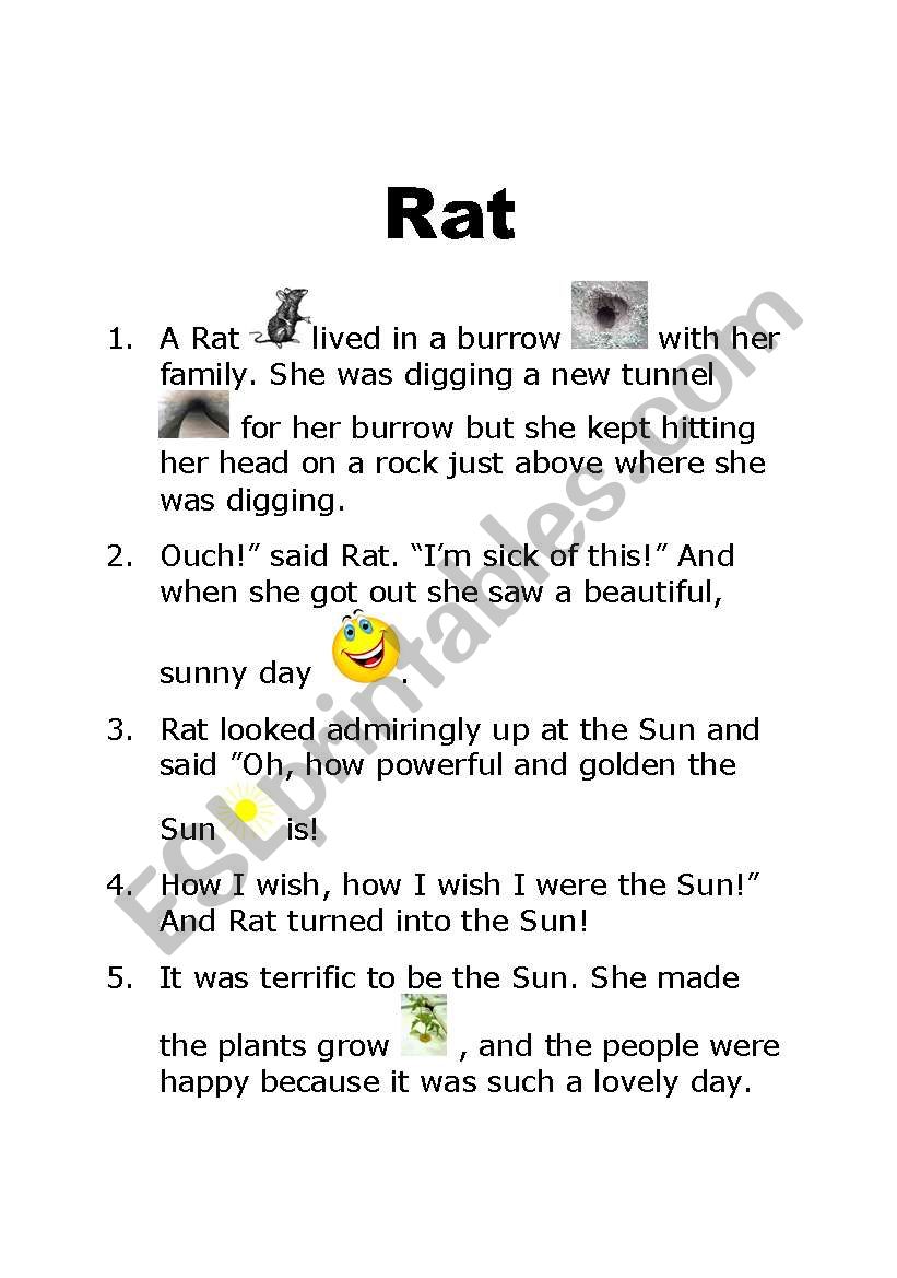 rat worksheet