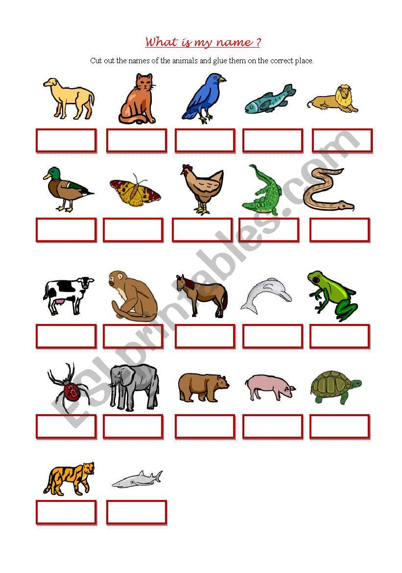 Animals - Cut and glue worksheet