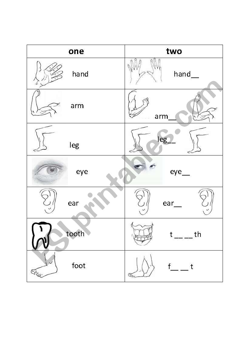 Singular and Plural Body Parts