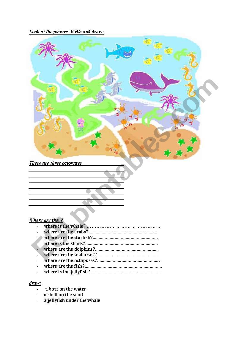 sea animals worksheet