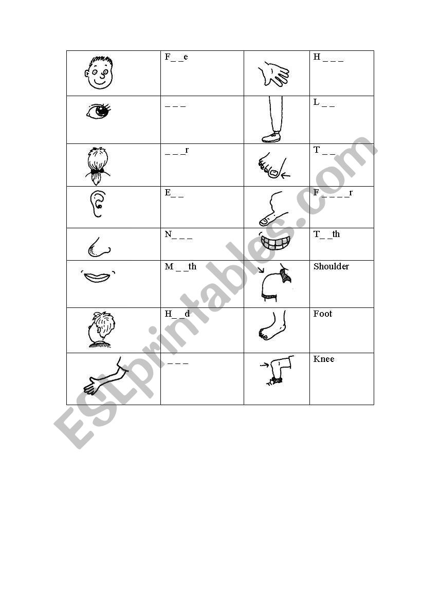 Body parts worksheet