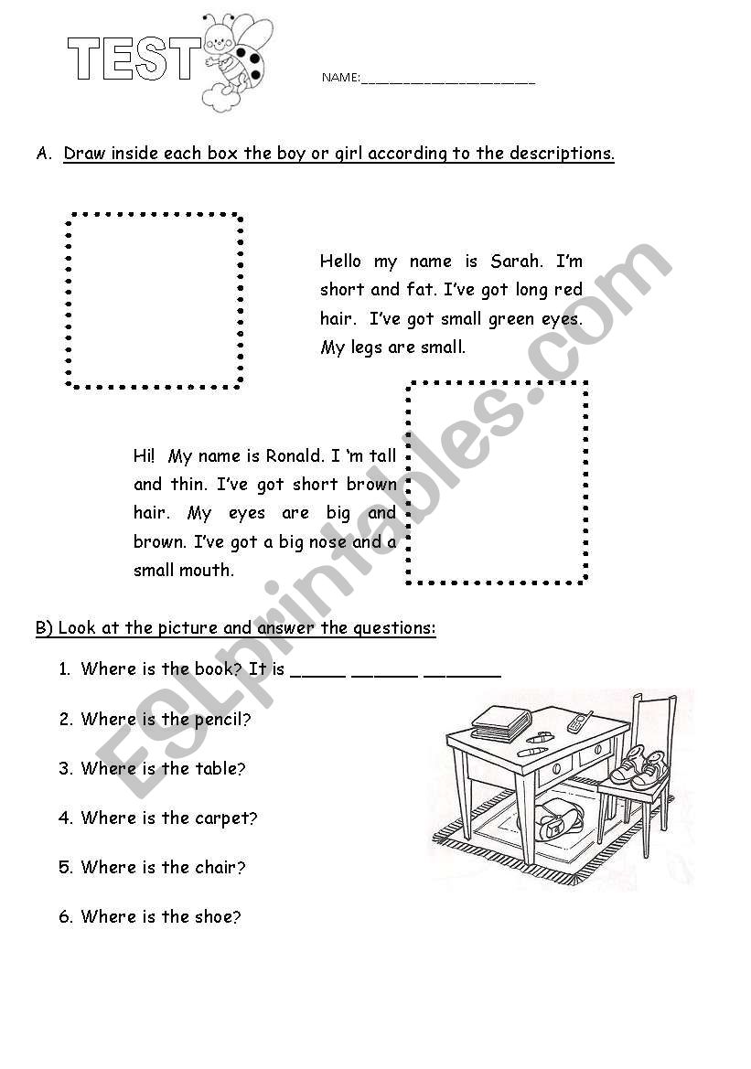 test 3rd year worksheet