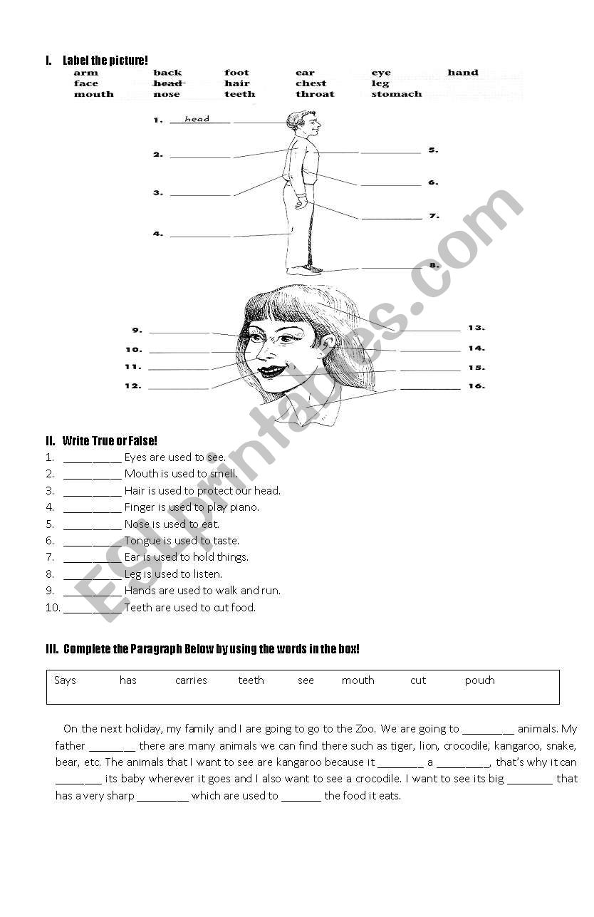 Parts of body and their functions ESL worksheet by