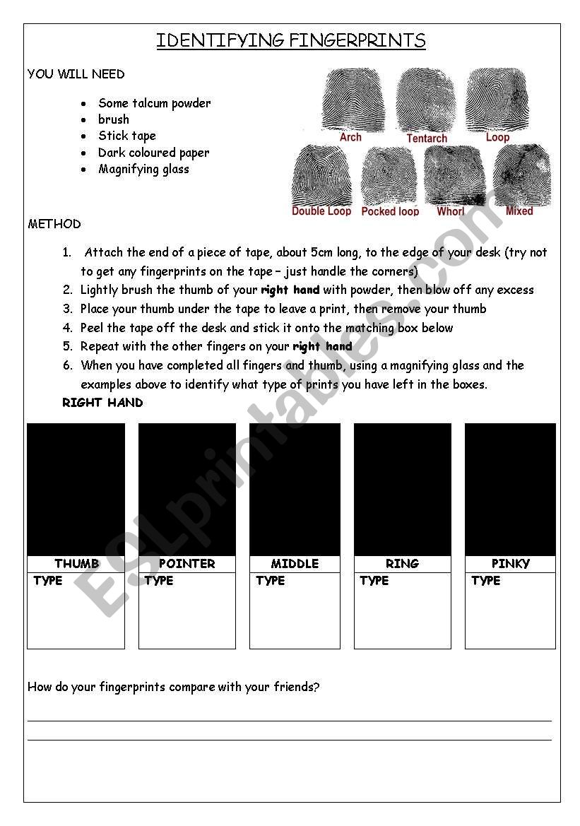 Identifying Fingerprints Experiment