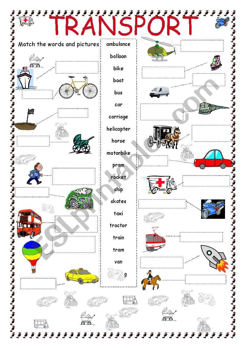 Transport worksheet