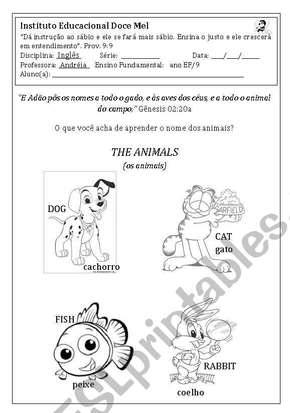 Animals worksheet