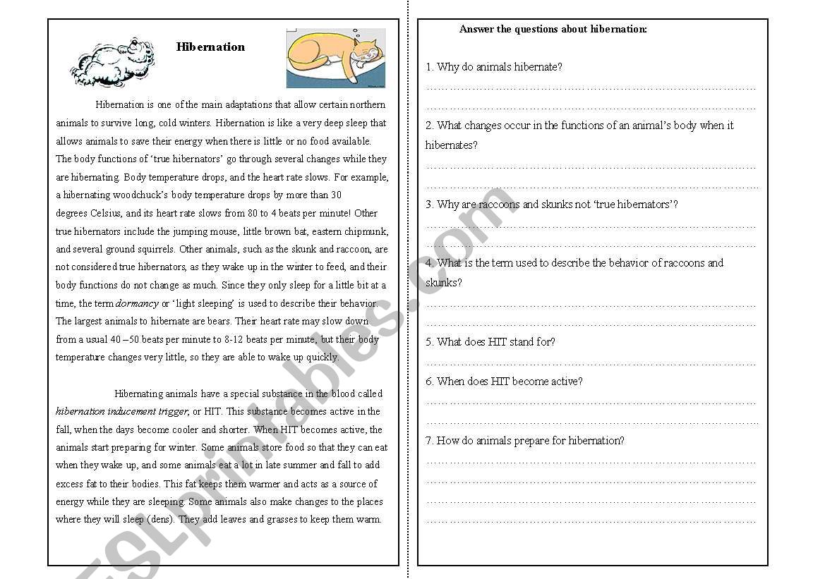 animal Hibernation worksheet