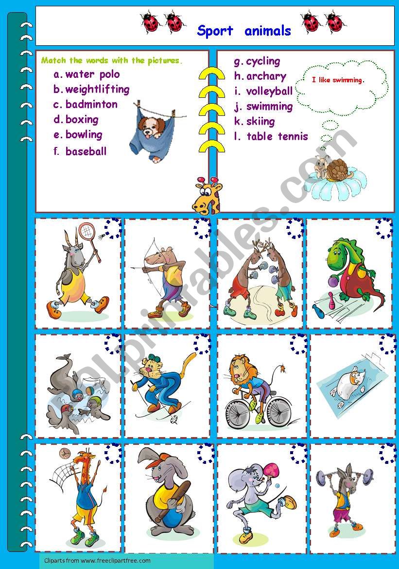 sport animals worksheet