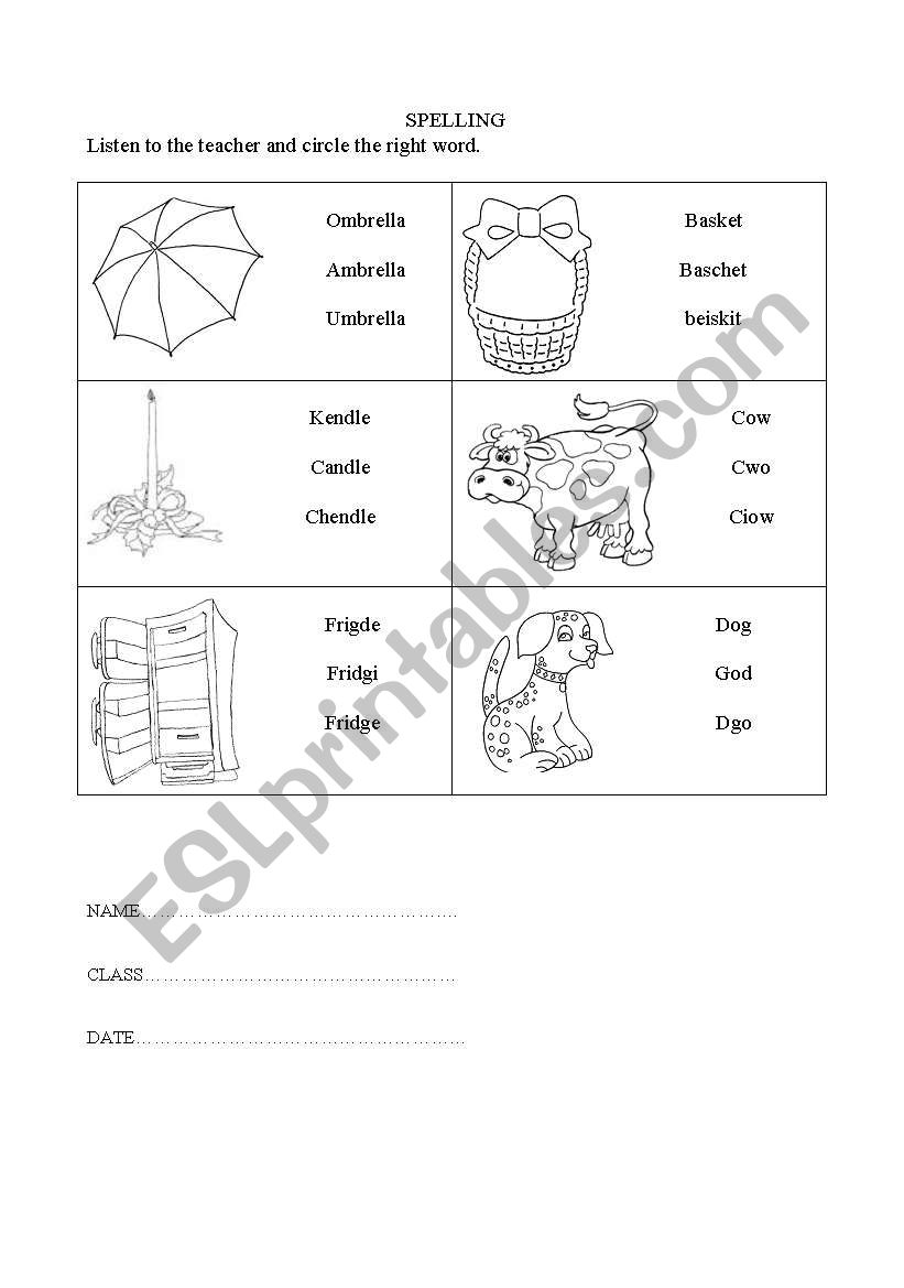 spelling worksheet