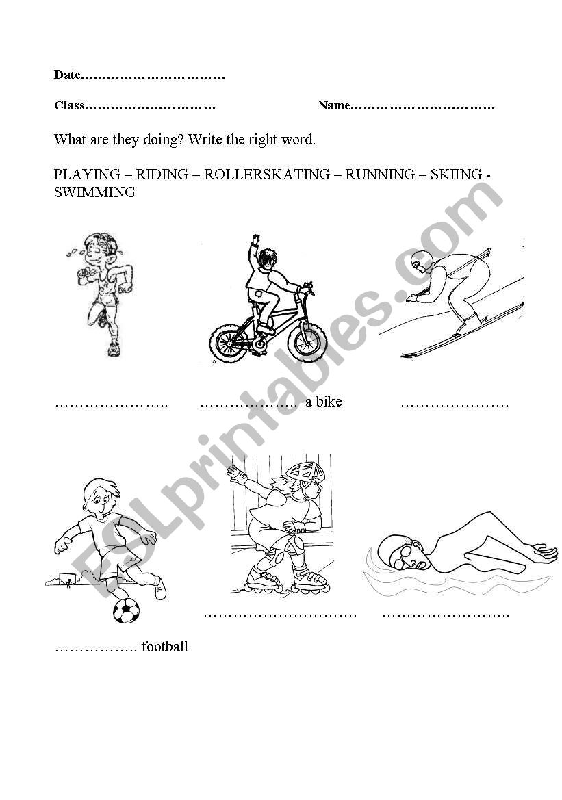 sports worksheet