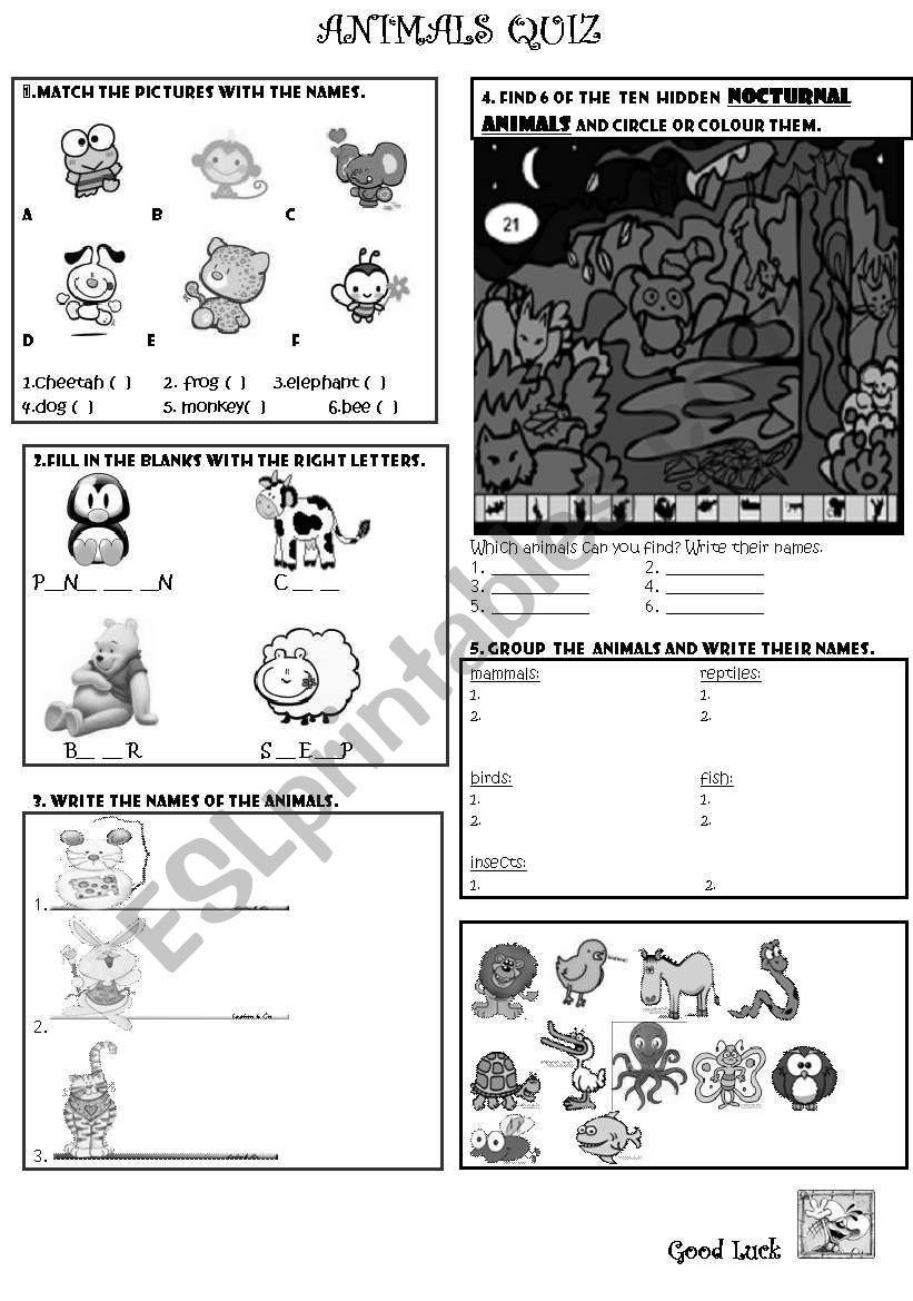 animals  worksheet