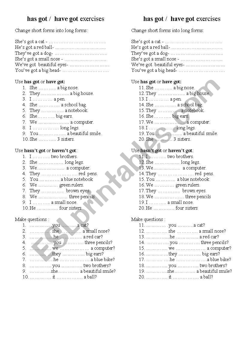 have got vs has got worksheet