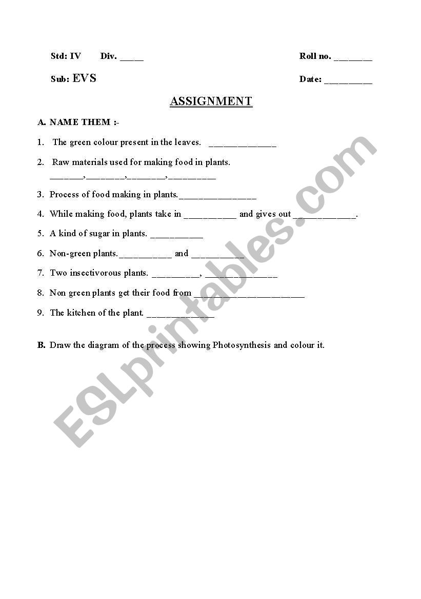 Photosynthesis worksheet worksheet