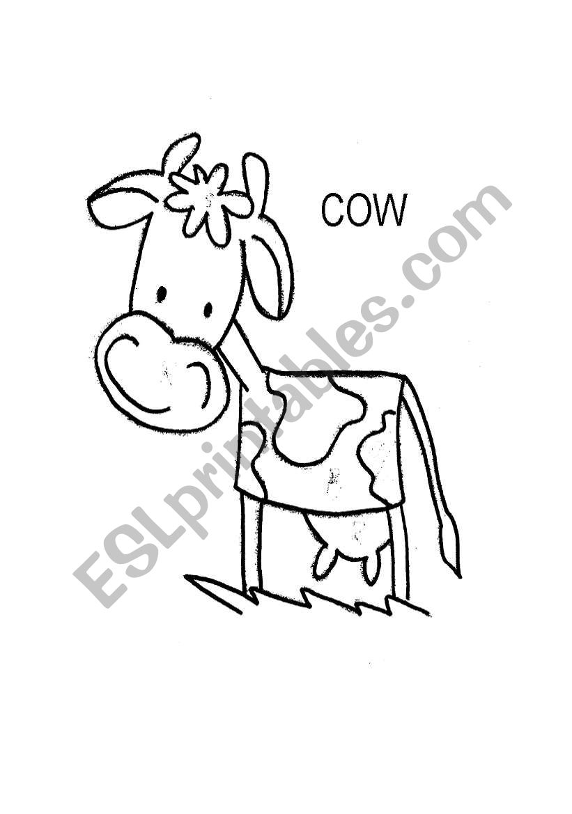 animals worksheet