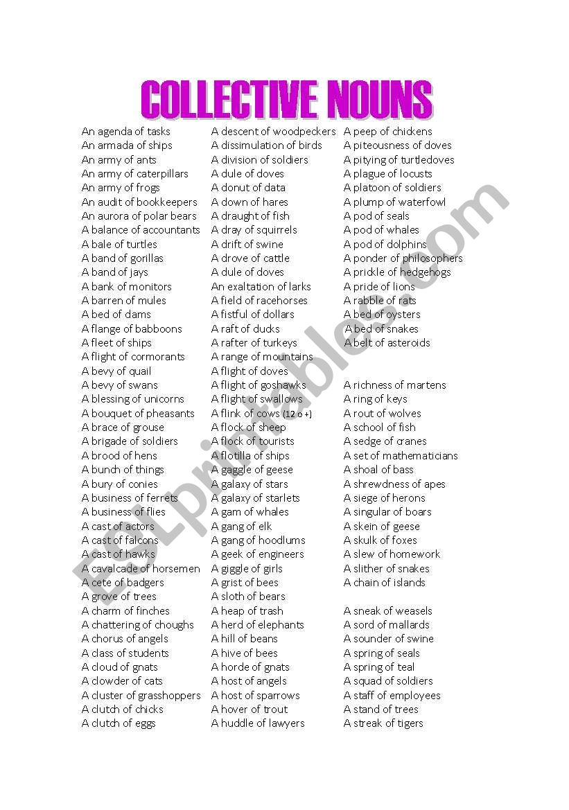 Collective nouns worksheet