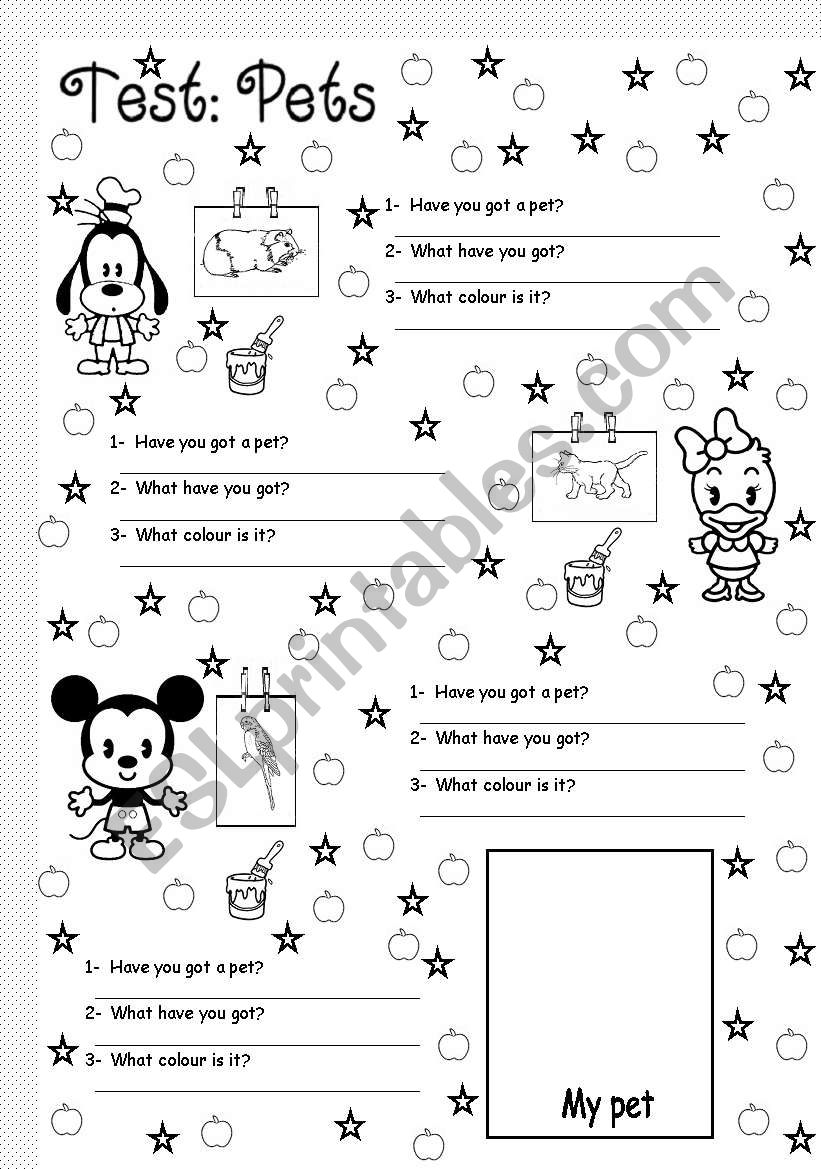 pets worksheet