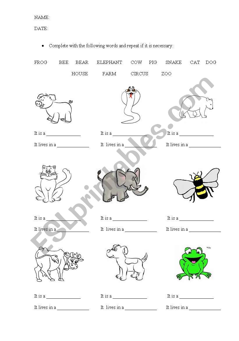 Animals worksheet