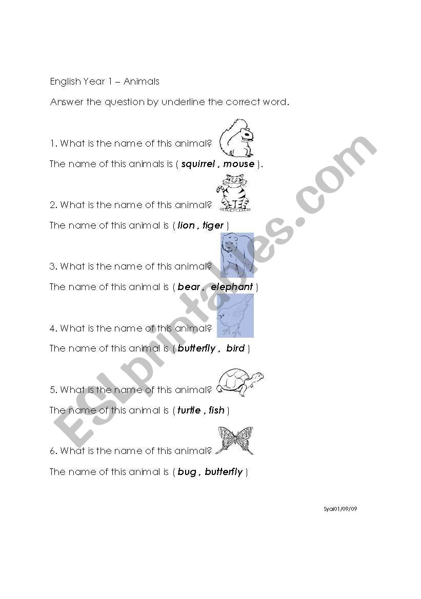 Animal worksheet