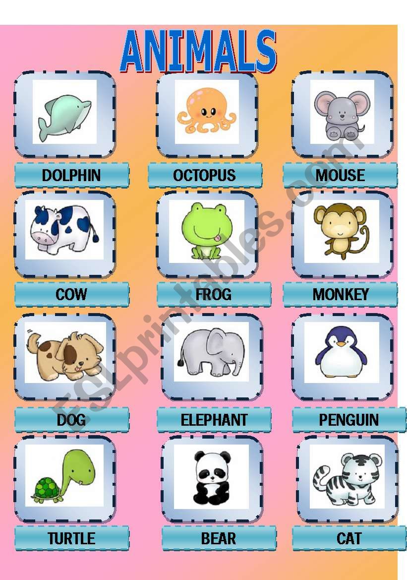 Sweet Animals worksheet