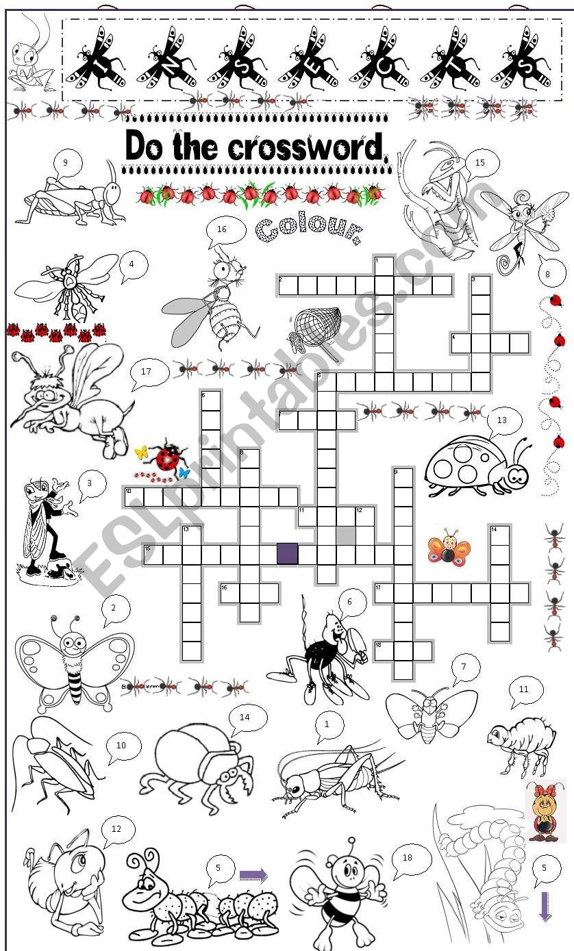 insects worksheet