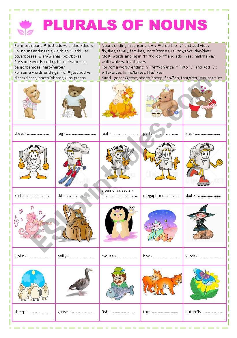 plural of nouns worksheet