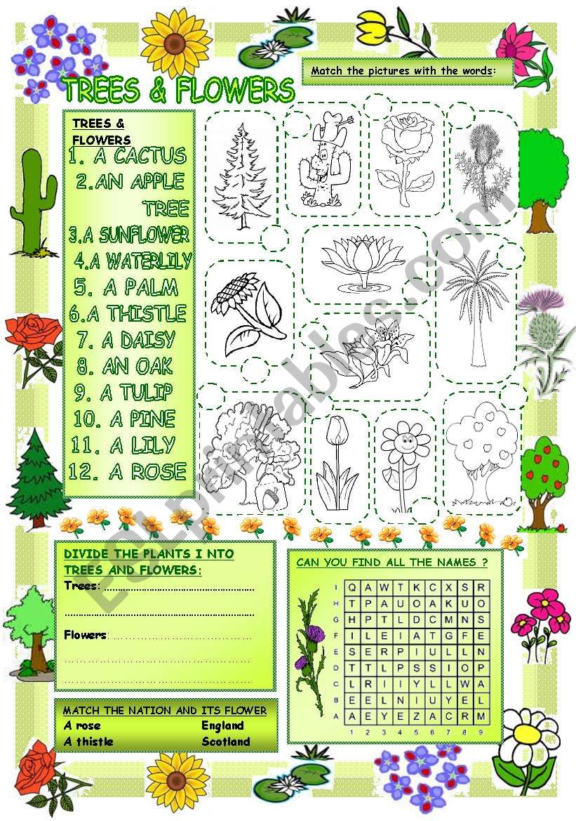 Elementary Vocabulary Series14 â€“ Trees and Flowers