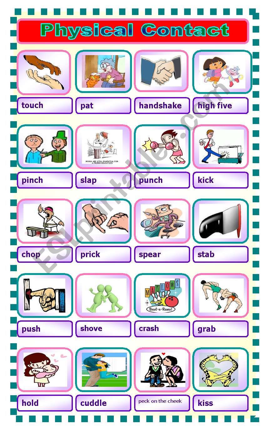 Physical contact worksheet