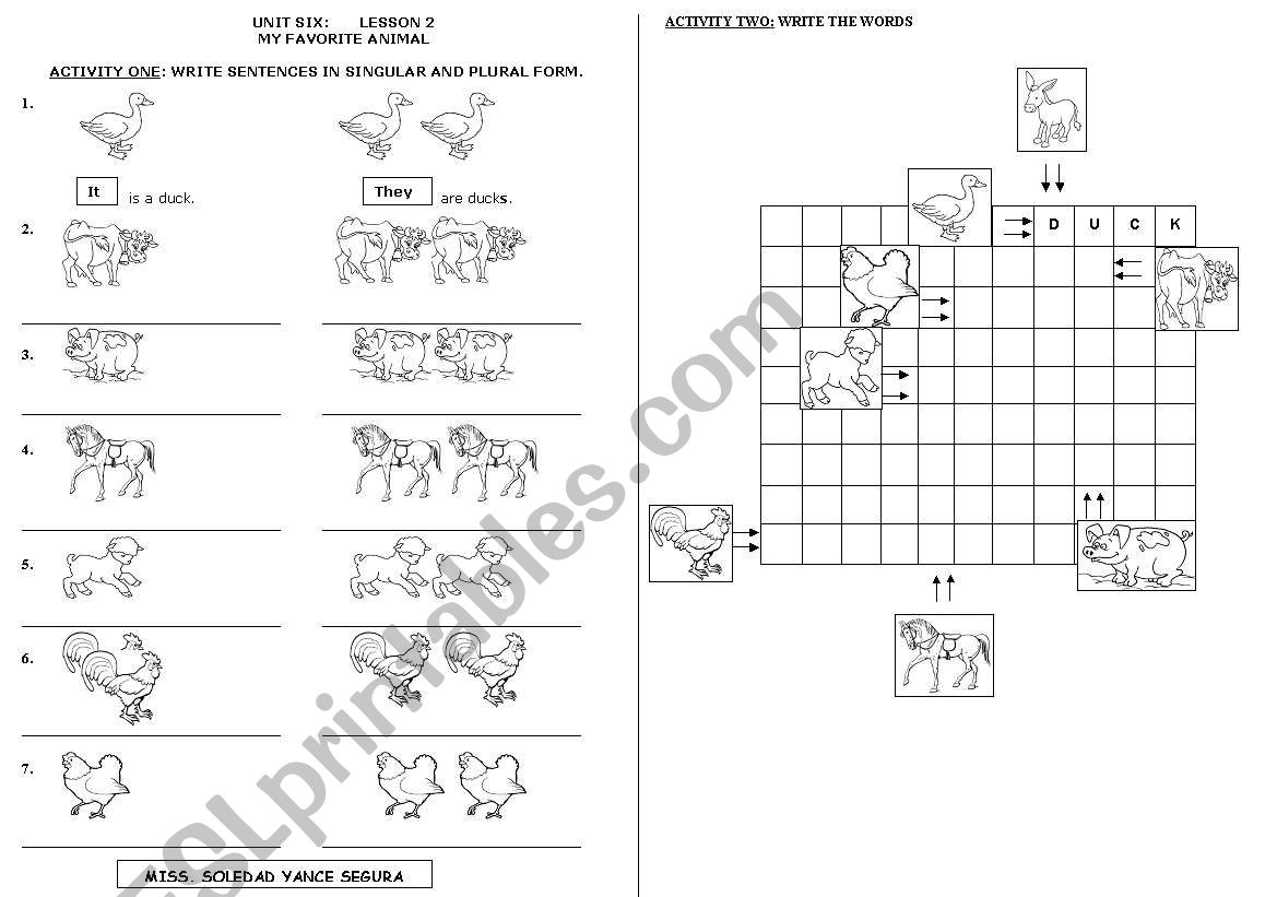 Animals worksheet