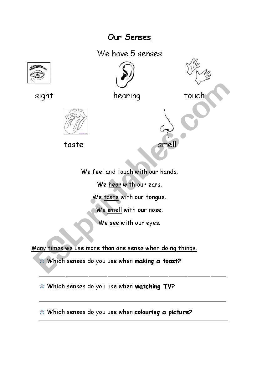 My 5 senses part 1 worksheet