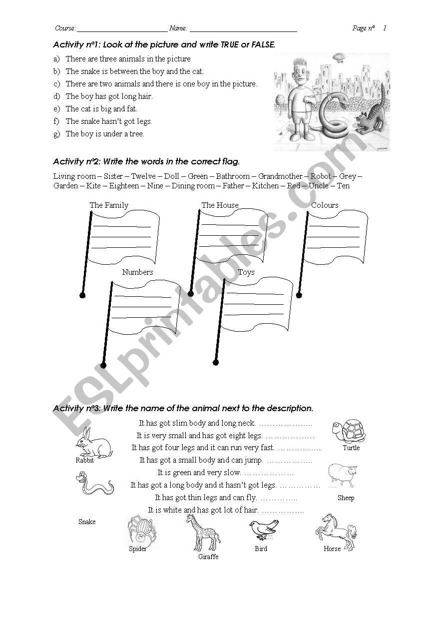 Elementary test nÂº2 worksheet
