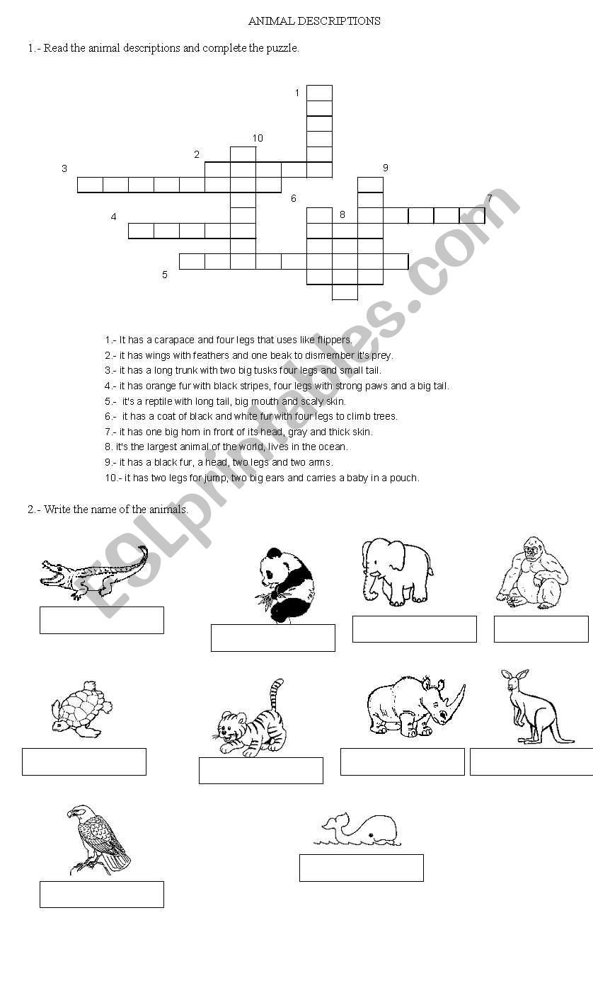 animal description activities worksheet