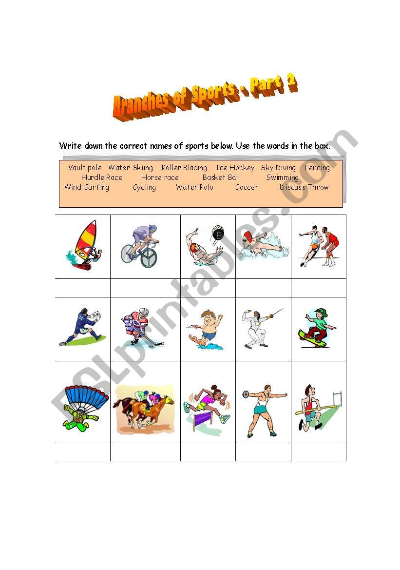 Branches of Sport Part -2 worksheet