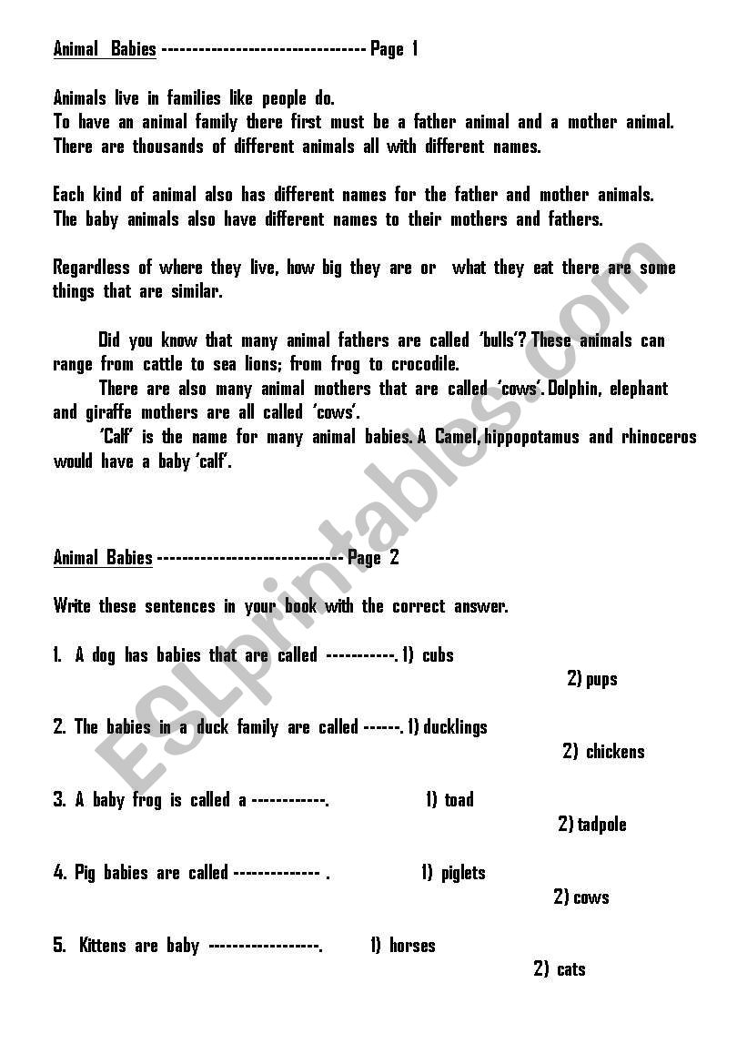 Animal  Babies worksheet