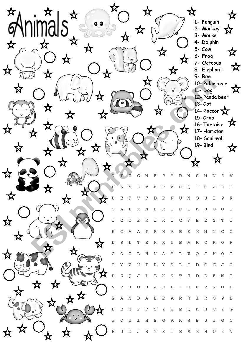 animals worksheet