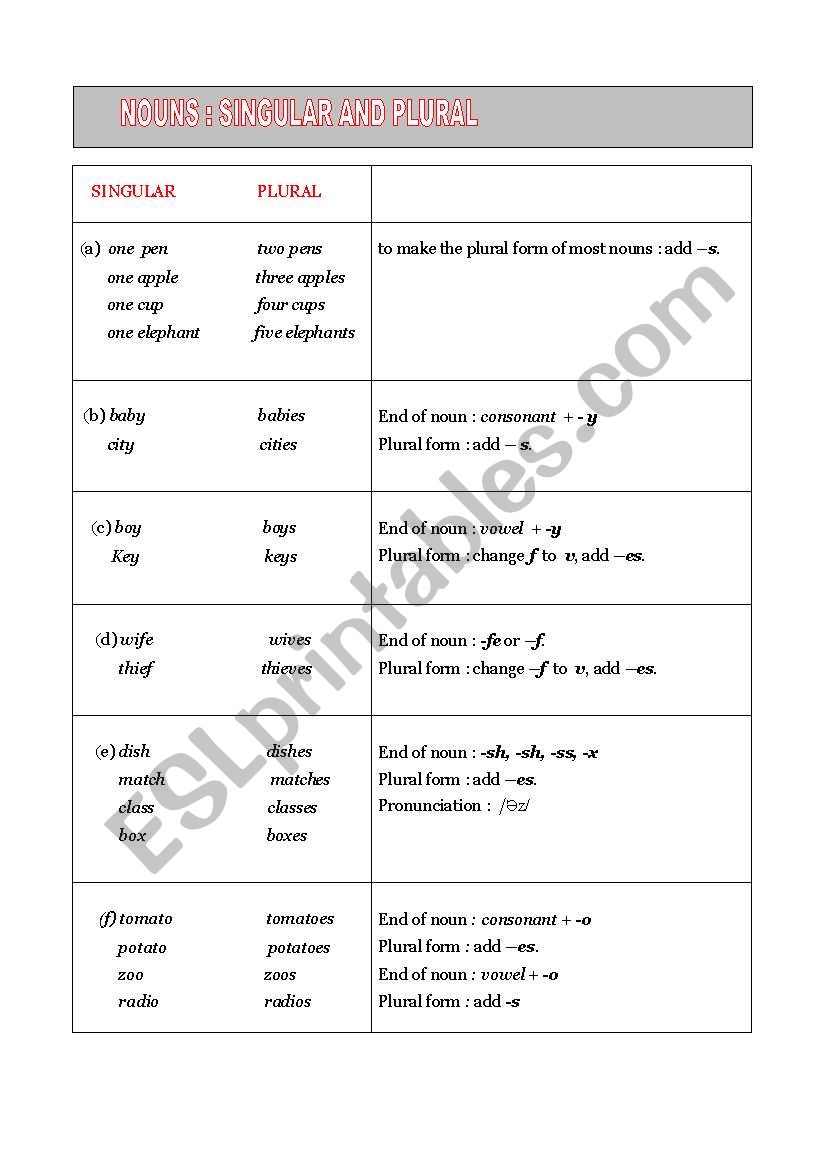 Noun Singular and Plural worksheet