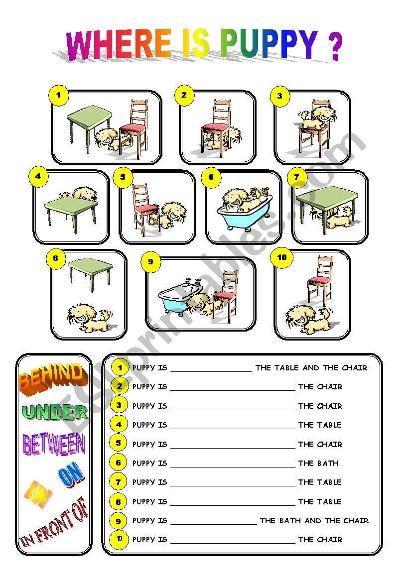 WHERE IS PUPPY? PREPOSITIONS OF PLACE