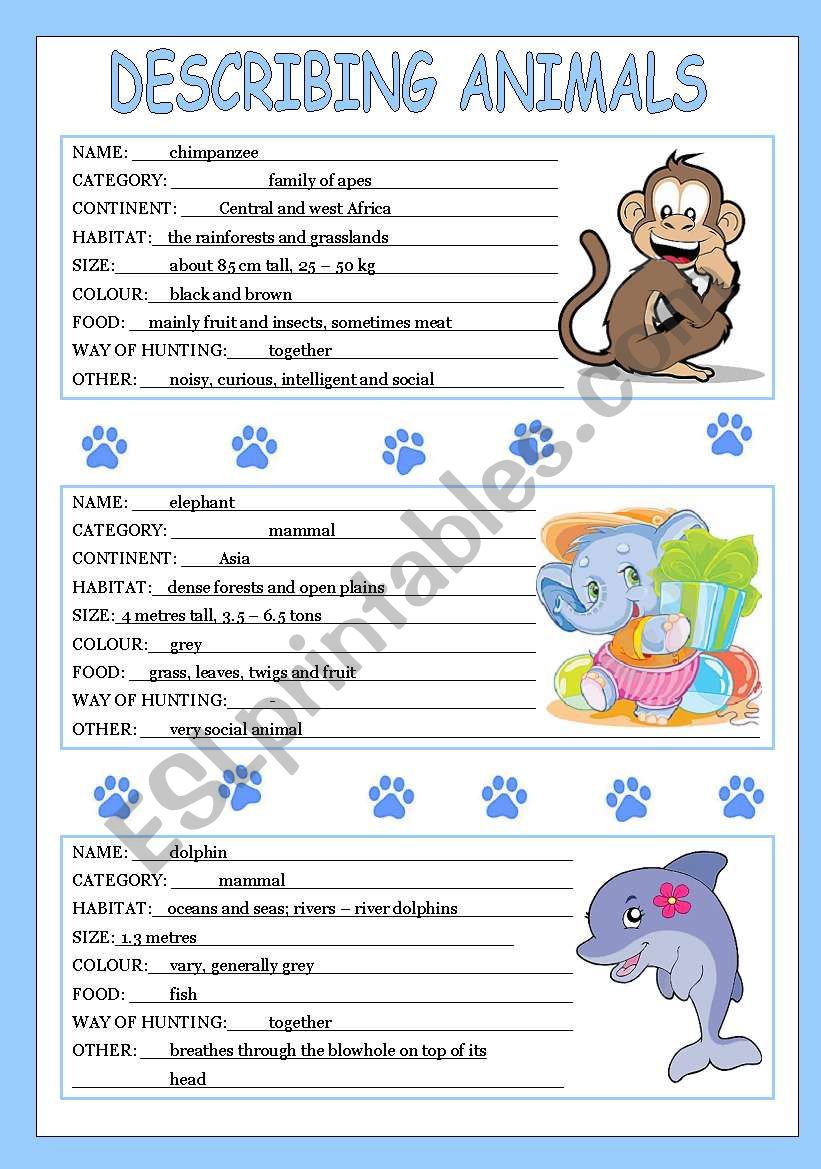 describing animals 1/3 worksheet